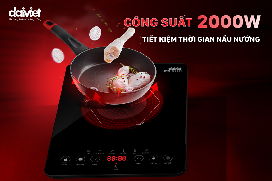 Bếp hồng ngoại đơn Đại Việt