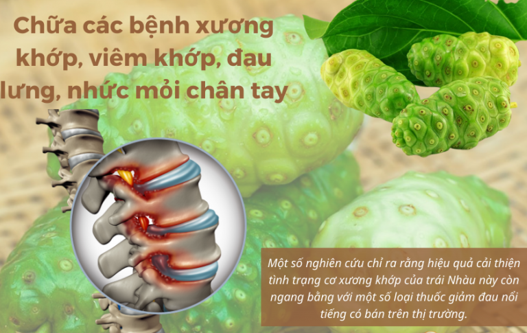 quả nhàu chữa xương khớp