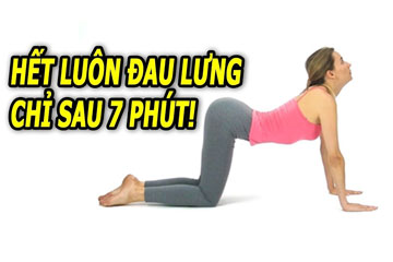 Bài tập thể dục chữa đau lưng hiệu quả