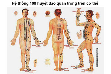 Tổng hợp các huyệt đạo có trên cơ thể người mà bạn cần biết