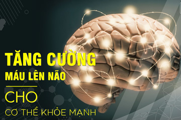 Mẹo cách làm máu lưu thông lên não mà bạn cần biết