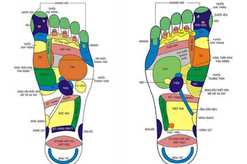 Cách bấm huyệt bàn chân trị bách bệnh mà bạn không ngờ đến