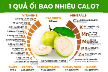 [Giải đáp] 1 trái ổi hay 100g ổi chứa bao nhiêu calo